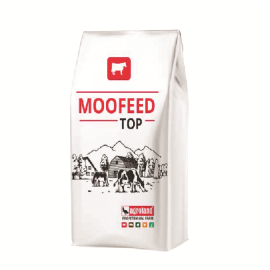 Moofeed Furaj creștere viței 16%