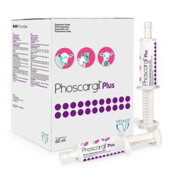 VETALIS PHOSCARGIL PLUS PASTE